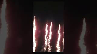 Must watch firework cake 🎇 [upl. by Airotal]