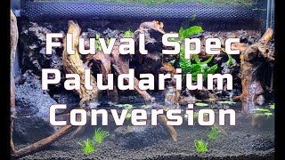 Step by step conversion of a Fluval Spec V aquarium into a paludarium [upl. by Nhojleahcim]