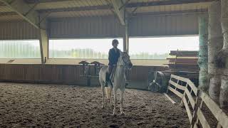 Hunter 2 Equitation Flat Class Eira Wachowiak [upl. by Ewer]