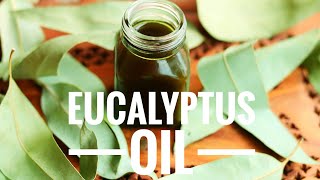 Eucalyptus Oil  How to make Eucalyptus Infused Oil [upl. by Eiddet606]