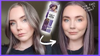 Loreal Colorista Purple 1 Month Later  How Fast Does it Fade Color Payoff [upl. by Martyn10]