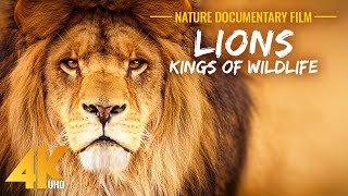 LIONS  Kings of African Wildlife  4K Lions Documentary Film with Narration [upl. by Bezanson281]