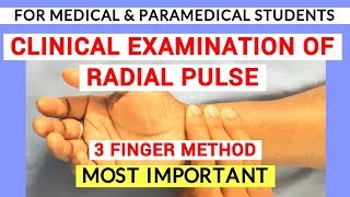 RADIAL PULSE EXAMINATION  CLINICAL LAB  PHYSIOLOGY PRACTICALS [upl. by Tracey5]