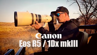 Shooting the Canon Eos R5 amp 1Dx mkiii [upl. by Cleodal]