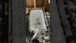 GT500 Crate Engine Unboxing  M6007M52SC  52L Predator Swap fordera [upl. by Burger814]