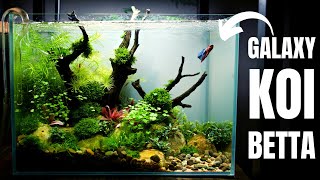 AQUASCAPE TUTORIAL Planted NANO BETTA TANK For a Special Betta [upl. by Osnofledi]