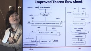 Li Qingnuan  Thorium Molten Salt Reactor TMSR Fuel ProcessingReprocessing  ThEC12 [upl. by Bathsheba]