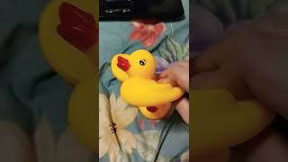 Some rubber ducks that I bought [upl. by Berthold]