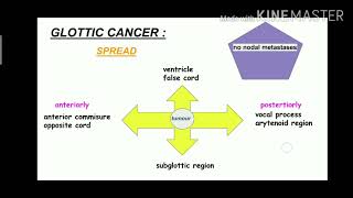 Cancer Larynx  ENT  Etiology  clinical presentation  Types  Treatment [upl. by Auqenet]