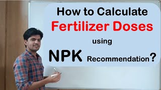 How to calculate Fertilizer Doses using NPK recommendations Agri Wale [upl. by Van744]