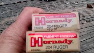 Hornady 204 Ruger 45 grain Verses 32 grain [upl. by Ahsuatal852]