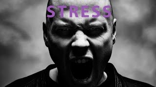 A Very Short Introduction to Stress [upl. by Pytlik330]