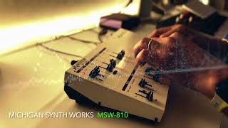 MICHIGAN SYNTH WORKS MSW810 [upl. by Teevens]