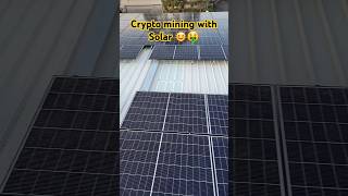 Crypto Mining with Solar Panels 🌞🤑 cryptocurrency bitcoin tech solarminer eth dogecoin wow [upl. by Hahcim]