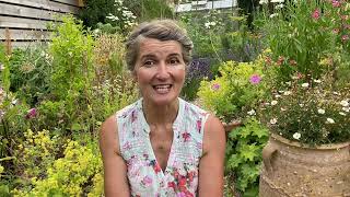 Unravelling Neals Yard Remedies with Tipper  How Organic Began 1980s  Neals Yard Remedies [upl. by Milon]