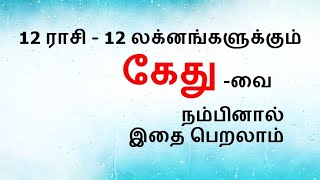 சாதுவாக அடிக்கும் கேது  வலி அதிகம் Ketu astrology prediction to 12 rasi lagna by Birth chart Tamil [upl. by Chema724]