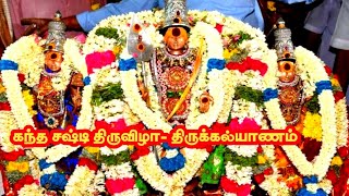 Kanda Shasti Festival கந்த சஷ்டி திருவிழா திருக்கல்யாணம்  thirukalyanam kanthasahasti [upl. by Nesnah78]