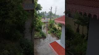 ye barsaat bhi kab thame kaun jaane। amazing rain videos।shorts rain love nature [upl. by Muhcan810]