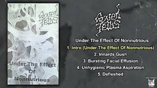 Carved Fetus  Under The Effect Of Nonnutrious MC FULL DEMO 1994  Goregrind [upl. by Noemi]