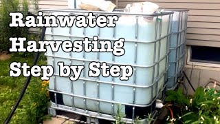 Rainwater Collection  Step by Step installation of IBC totes [upl. by Notsirk]