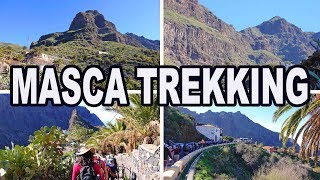 MASCA TREKKING  TENERIFE 4K [upl. by Wieren336]