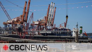 Dock workers return to work after cancelled BC port strike [upl. by Romeo]