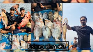 Groupers and red Snappers 100kg plus Vlog 3 fishing [upl. by Belicia]