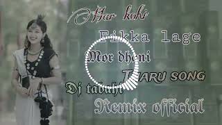 Har Kohi Fikka Lage Mor Dhani Raj kusmi New tharu viral Song dj tabahi remix official Kanchanpur [upl. by Esylle]