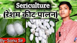 Sericulture  sericulture farming in hindi  sericulture of type  by sonu sir [upl. by Aisat]