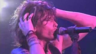 Aerosmith  I Dont Want to Miss A Thing Live in Japan [upl. by Sprung]