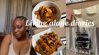 Living alone diaries 18  my unaesthetic life  homebody diaries [upl. by Enniotna409]