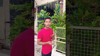 बर्तन धोने का बेस्ट तरीका😀😀comedy short video vairalshorts youtube fany [upl. by Atilrak]