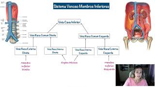 Veias Profundas dos Membros Inferiores [upl. by Butterfield]