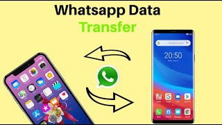 How to Transfer Whatsapp Messages Android to iPhone without computer [upl. by Mcintosh44]