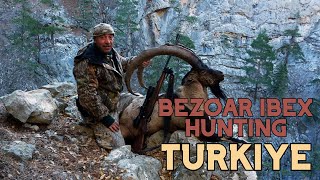 Bezoar Ibex Hunting in Turkiye hunting [upl. by Lund]