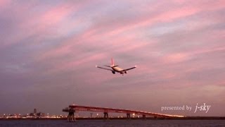 Live Sunset Landing at Haneda Airport  羽田空港 夕日に輝く機体やピンク色の空が美しい着陸シーン集 [upl. by Ardnosak170]