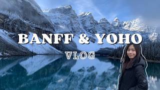 加拿大 ep3︱小而美的幽鶴Yoho國家公園🤩班夫Banff必去景點 路易斯湖Lake Louise、夢蓮湖Moraine Lake✨ [upl. by Zuliram]