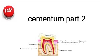 cementum part 2 [upl. by Nagaer799]