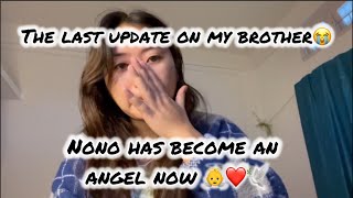 Nono is in better place now thank you everyone👼❤️🕊️😢 [upl. by Drahsir]