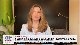 Guerra Irã x Israel o que está em risco para o agro？ [upl. by Nylkcaj]