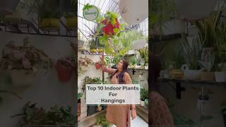 Top 10 Indoor Plants for Hanging Pots 😱🪴 gardeninglovers gardendesign gardening [upl. by Aurora]