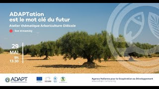 Atelier thématique arboriculture oléicole – Programme ADAPT Sfax Tunisie 2024 [upl. by Vano]