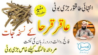 Akarkara ke fayde  Pellitory Root  Akarkara Benefits in Male Timing Epilepsy and Inflammation [upl. by Ajan537]