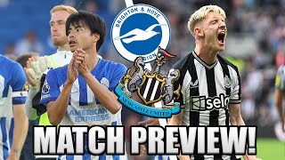 GET BACK TO WINNING WAYS BRIGHTON VS NEWCASTLE PREVIEW [upl. by Ardnahcal619]