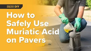 Dos amp Donts Using Muriatic Acid to Remove Efflorescence on Paver Patios Safely [upl. by Weinshienk]