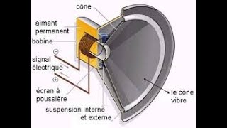 Haut parleur électrodynamique [upl. by Biancha]