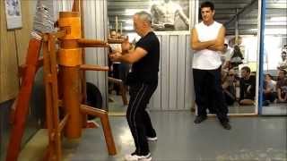 Wing Chun kung fuWooden Dummy  Franco RegalziLoukas Kastrounis EWCA [upl. by Adnilab]