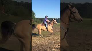 butterball 😍🥹 horse nbha barrelhorse rodeo barrelracing bresablair butterball edit [upl. by Lucie655]