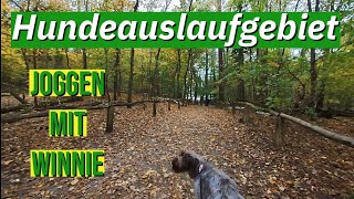 BerlinGrunewaldsee VLOG [upl. by Tristan]