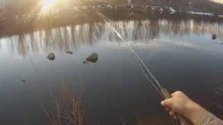 Fly Fishing for Winter Carp  Get Your Fix 1 [upl. by Doroteya]